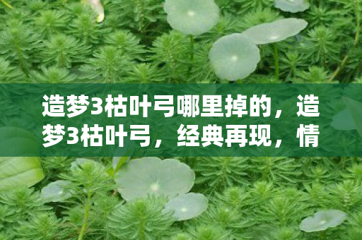 造梦3枯叶弓哪里掉的，造梦3枯叶弓，经典再现，情怀与实力并存