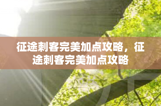 征途刺客完美加点攻略，征途刺客完美加点攻略