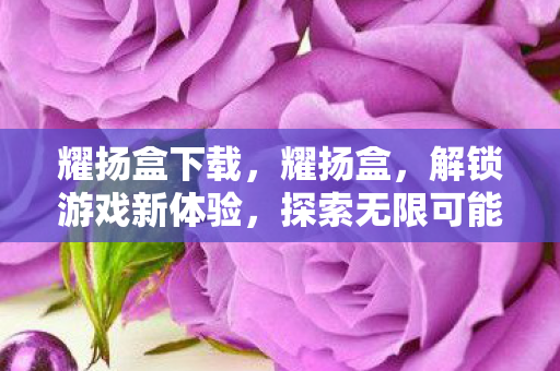耀扬盒下载，耀扬盒，解锁游戏新体验，探索无限可能的娱乐新平台