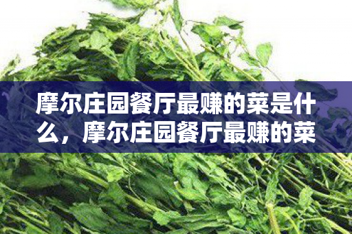 摩尔庄园餐厅最赚的菜是什么，摩尔庄园餐厅最赚的菜，打造财富之地的美食秘籍