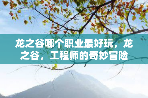 龙之谷哪个职业最好玩，龙之谷，工程师的奇妙冒险