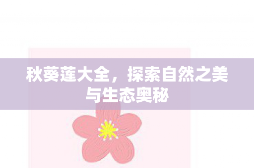 秋葵莲大全，探索自然之美与生态奥秘