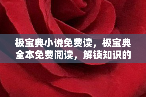 极宝典小说免费读，极宝典全本免费阅读，解锁知识的新时代