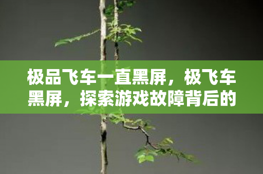 极品飞车一直黑屏，极飞车黑屏，探索游戏故障背后的技术挑战与解决方案