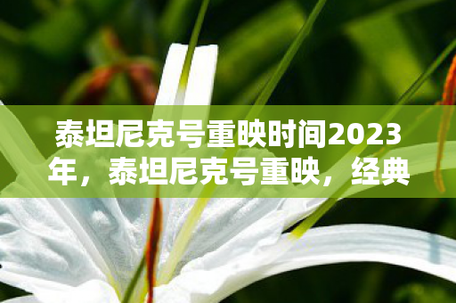 泰坦尼克号重映时间2023年，泰坦尼克号重映，经典再现，情怀依旧