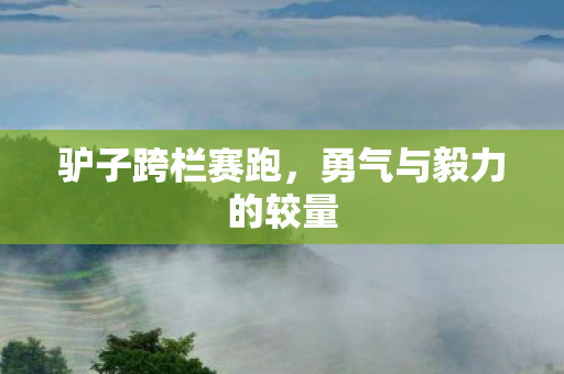 驴子跨栏赛跑，勇气与毅力的较量