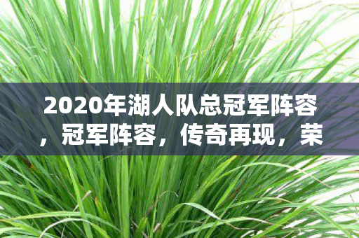 2020年湖人队总冠军阵容，冠军阵容，传奇再现，荣耀加冕