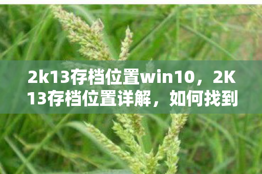 2k13存档位置win10，2K13存档位置详解，如何找到并管理你的游戏进度