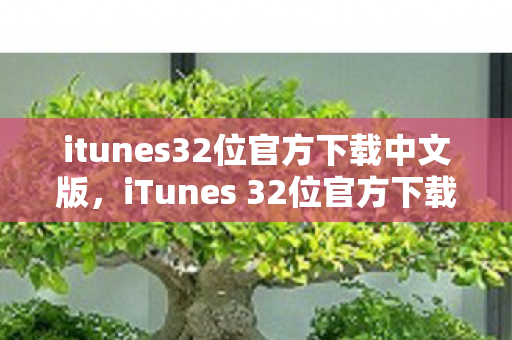 itunes32位官方下载中文版，iTunes 32位官方下载中文版，安全、便捷的音乐管理新体验