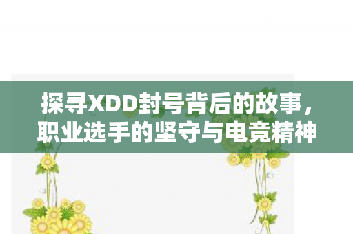 探寻XDD封号背后的故事，职业选手的坚守与电竞精神的传承