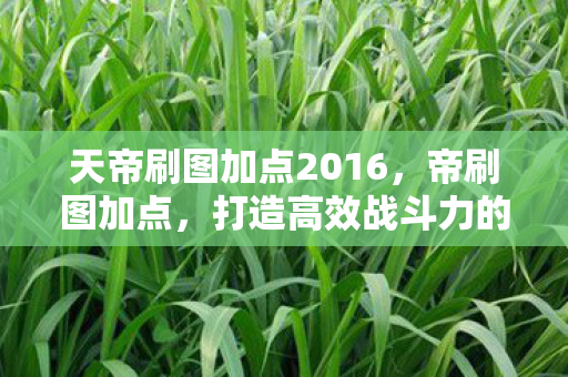 天帝刷图加点2016，帝刷图加点，打造高效战斗力的关键