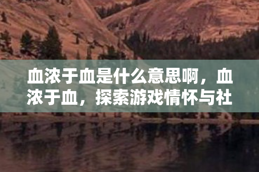 血浓于血是什么意思啊，血浓于血，探索游戏情怀与社区文化的深度交融