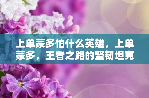 上单蒙多怕什么英雄，上单蒙多，王者之路的坚韧坦克