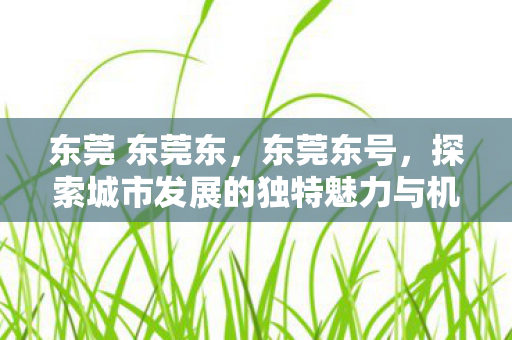 东莞 东莞东，东莞东号，探索城市发展的独特魅力与机遇