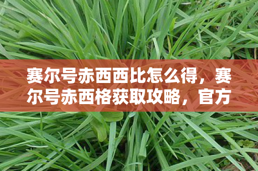 赛尔号赤西西比怎么得，赛尔号赤西格获取攻略，官方途径与策略分享