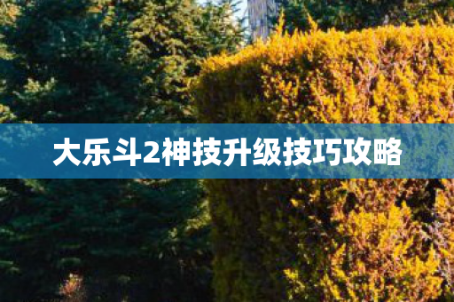 大乐斗2神技升级技巧攻略