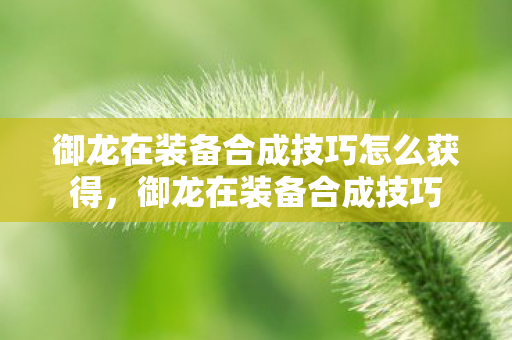 御龙在装备合成技巧怎么获得，御龙在装备合成技巧