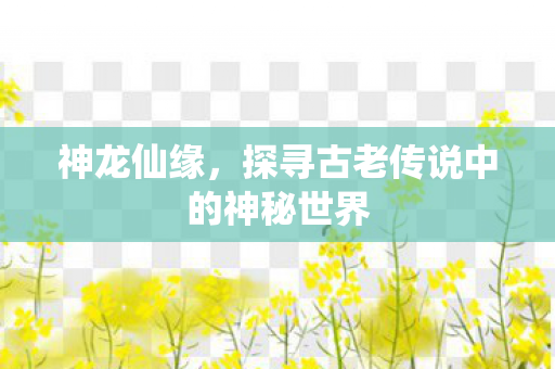 神龙仙缘，探寻古老传说中的神秘世界