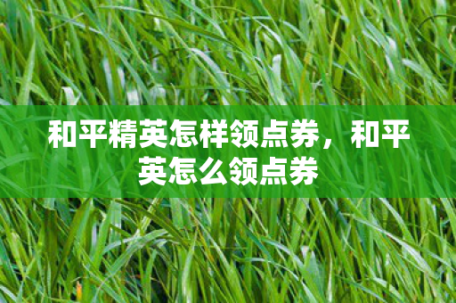 和平精英怎样领点券，和平英怎么领点券