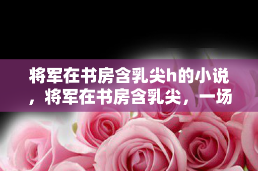 将军在书房含乳尖h的小说，将军在书房含乳尖，一场隐秘而微妙的权力游戏