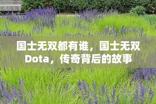 国士无双都有谁，国士无双Dota，传奇背后的故事