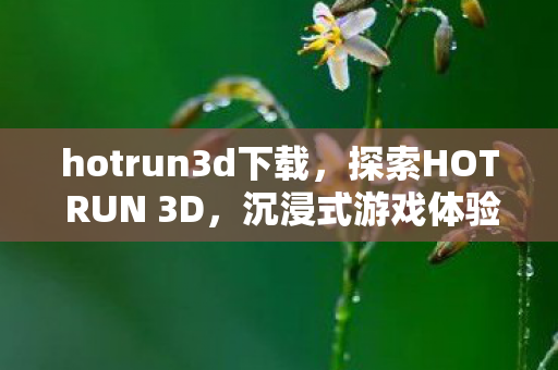 hotrun3d下载，探索HOT RUN 3D，沉浸式游戏体验的革新