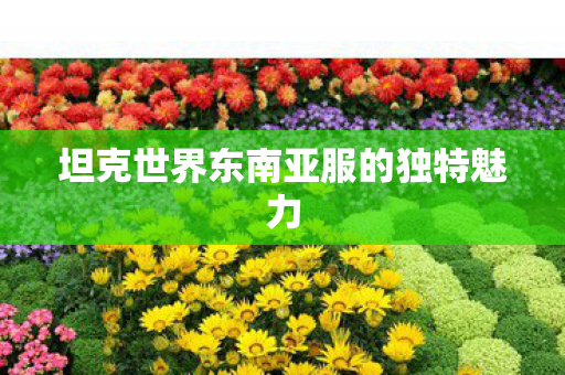 坦克世界东南亚服的独特魅力