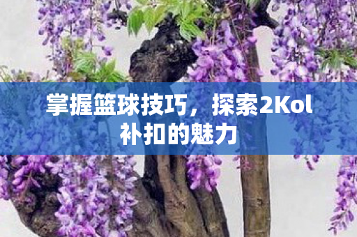 掌握篮球技巧，探索2Kol补扣的魅力