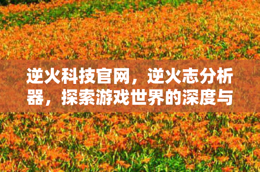 逆火科技官网，逆火志分析器，探索游戏世界的深度与广度