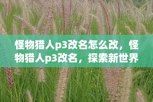 怪物猎人p3改名怎么改，怪物猎人p3改名，探索新世界的奇幻之旅