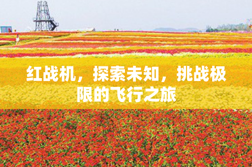红战机，探索未知，挑战极限的飞行之旅