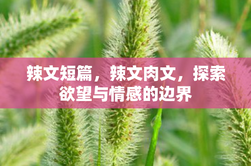 辣文短篇，辣文肉文，探索欲望与情感的边界