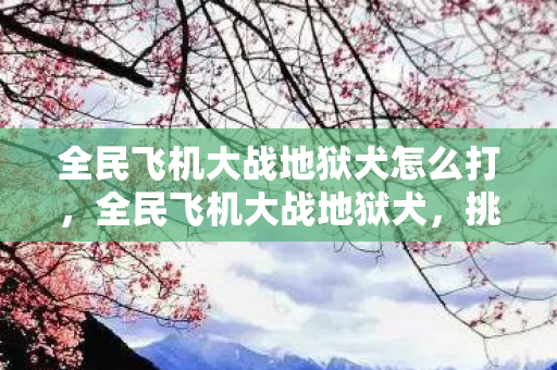 全民飞机大战地狱犬怎么打，全民飞机大战地狱犬，挑战极限的空中激战