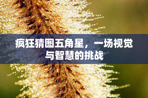 疯狂猜图五角星，一场视觉与智慧的挑战