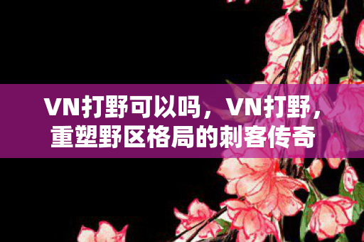 VN打野可以吗，VN打野，重塑野区格局的刺客传奇