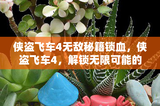侠盗飞车4无敌秘籍锁血，侠盗飞车4，解锁无限可能的无敌秘籍