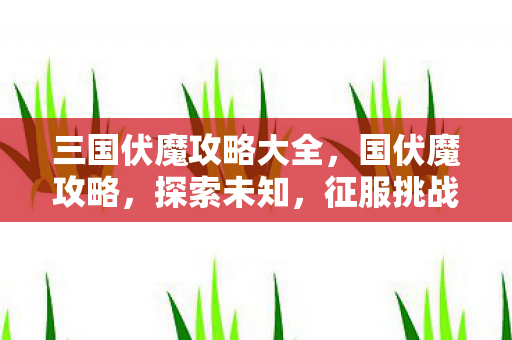 三国伏魔攻略大全，国伏魔攻略，探索未知，征服挑战