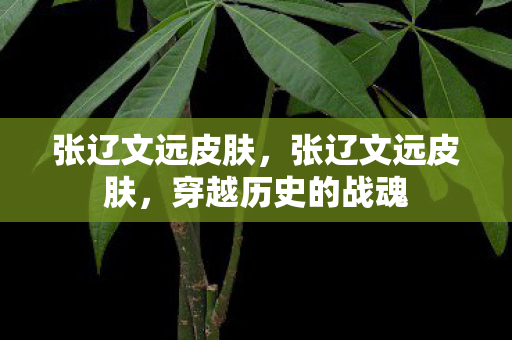 张辽文远皮肤，张辽文远皮肤，穿越历史的战魂