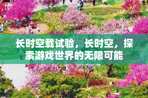 长时空载试验，长时空，探索游戏世界的无限可能