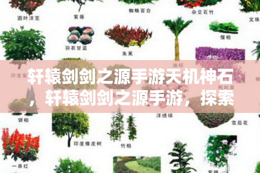 轩辕剑剑之源手游天机神石，轩辕剑剑之源手游，探索古老传说的奇妙之旅