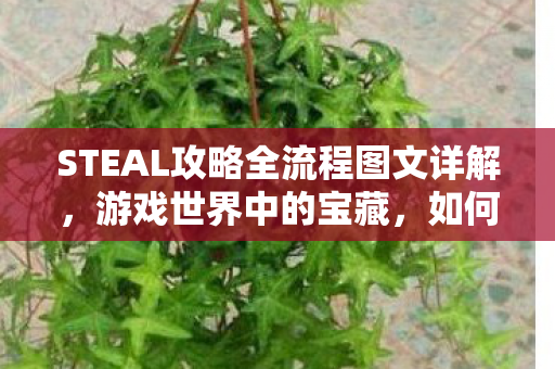 STEAL攻略全流程图文详解，游戏世界中的宝藏，如何高效获取稀有装备与资源