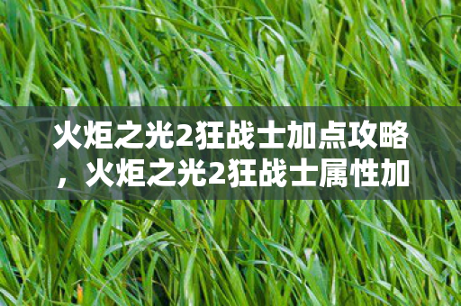 火炬之光2狂战士加点攻略，火炬之光2狂战士属性加点图详解