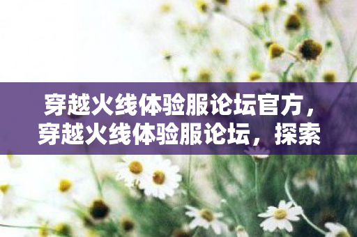 穿越火线体验服论坛官方，穿越火线体验服论坛，探索未知的游戏世界