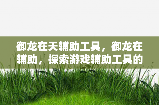 御龙在天辅助工具，御龙在辅助，探索游戏辅助工具的正途与误区