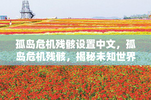 孤岛危机残骸设置中文，孤岛危机残骸，揭秘未知世界的神秘面纱