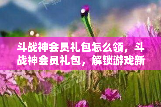 斗战神会员礼包怎么领，斗战神会员礼包，解锁游戏新世界的钥匙