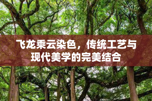 飞龙乘云染色，传统工艺与现代美学的完美结合