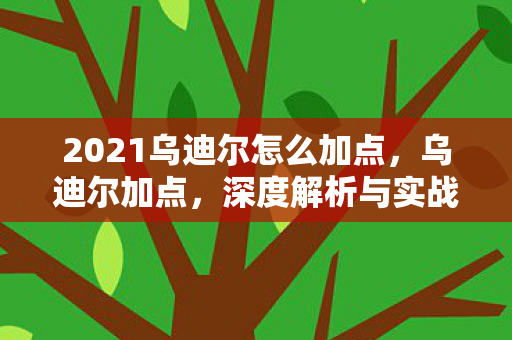 2021乌迪尔怎么加点，乌迪尔加点，深度解析与实战应用