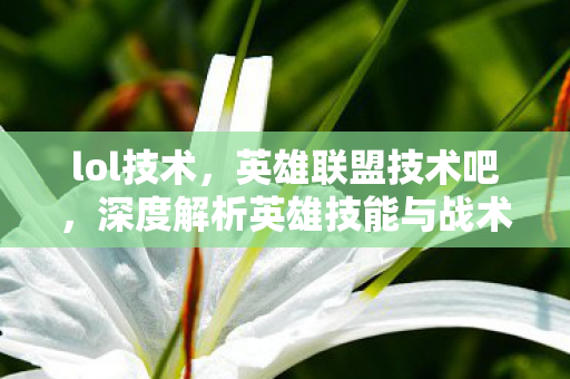 lol技术，英雄联盟技术吧，深度解析英雄技能与战术运用