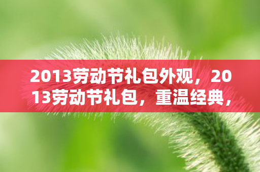 2013劳动节礼包外观，2013劳动节礼包，重温经典，致敬劳动者